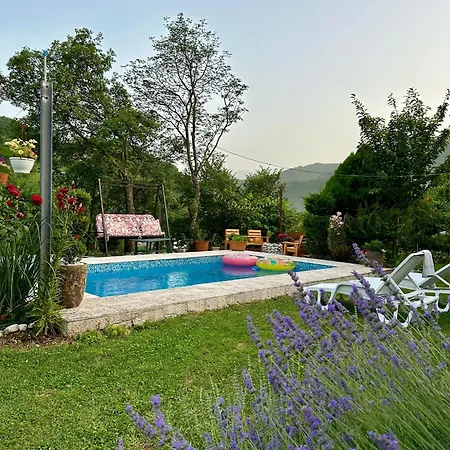 Queen 別荘 コニツ